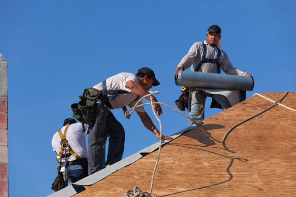 Best Roof Replacement Cost  in Haines City, FL