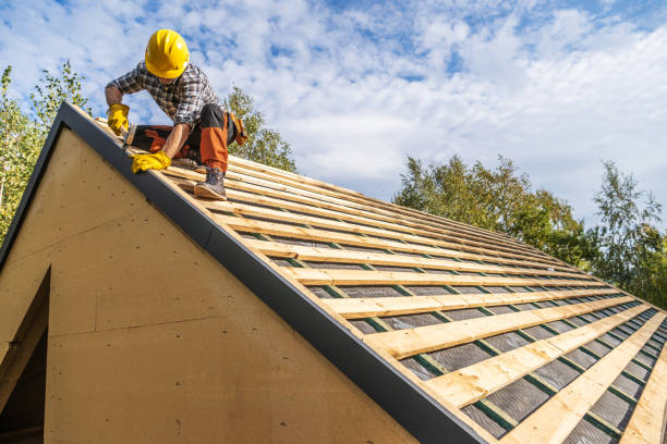 Roof Gutter Cleaning in Haines City, FL