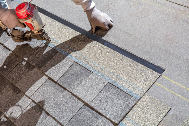 Best Gutter Installation and Roofing  in Haines City, FL